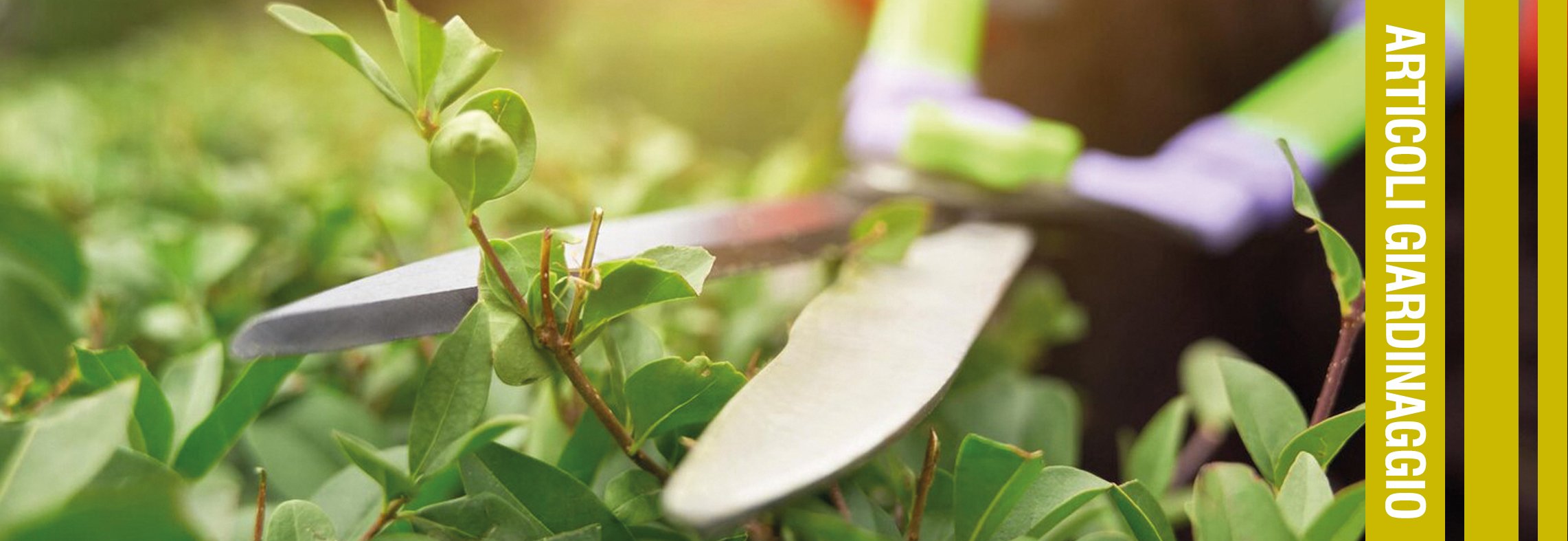 Articoli Giardinaggio