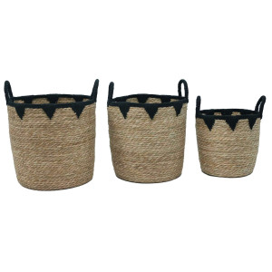 SET 3 CESTI