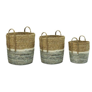 SET 3 CESTI