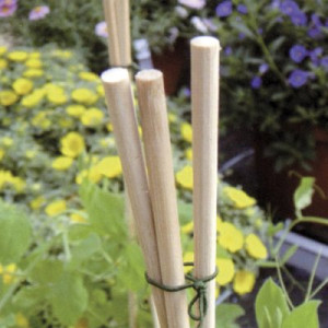 FLOWER Stick