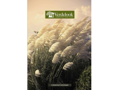 Catalogo generale
